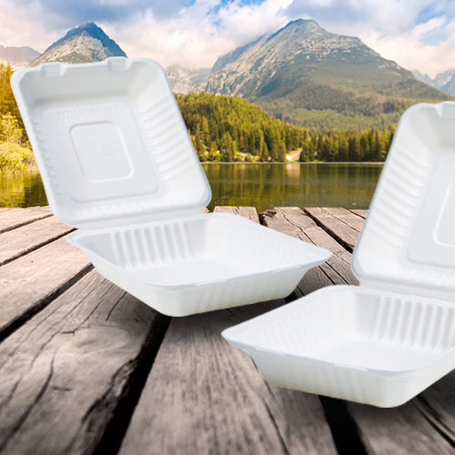 Contenedores Biodegradables